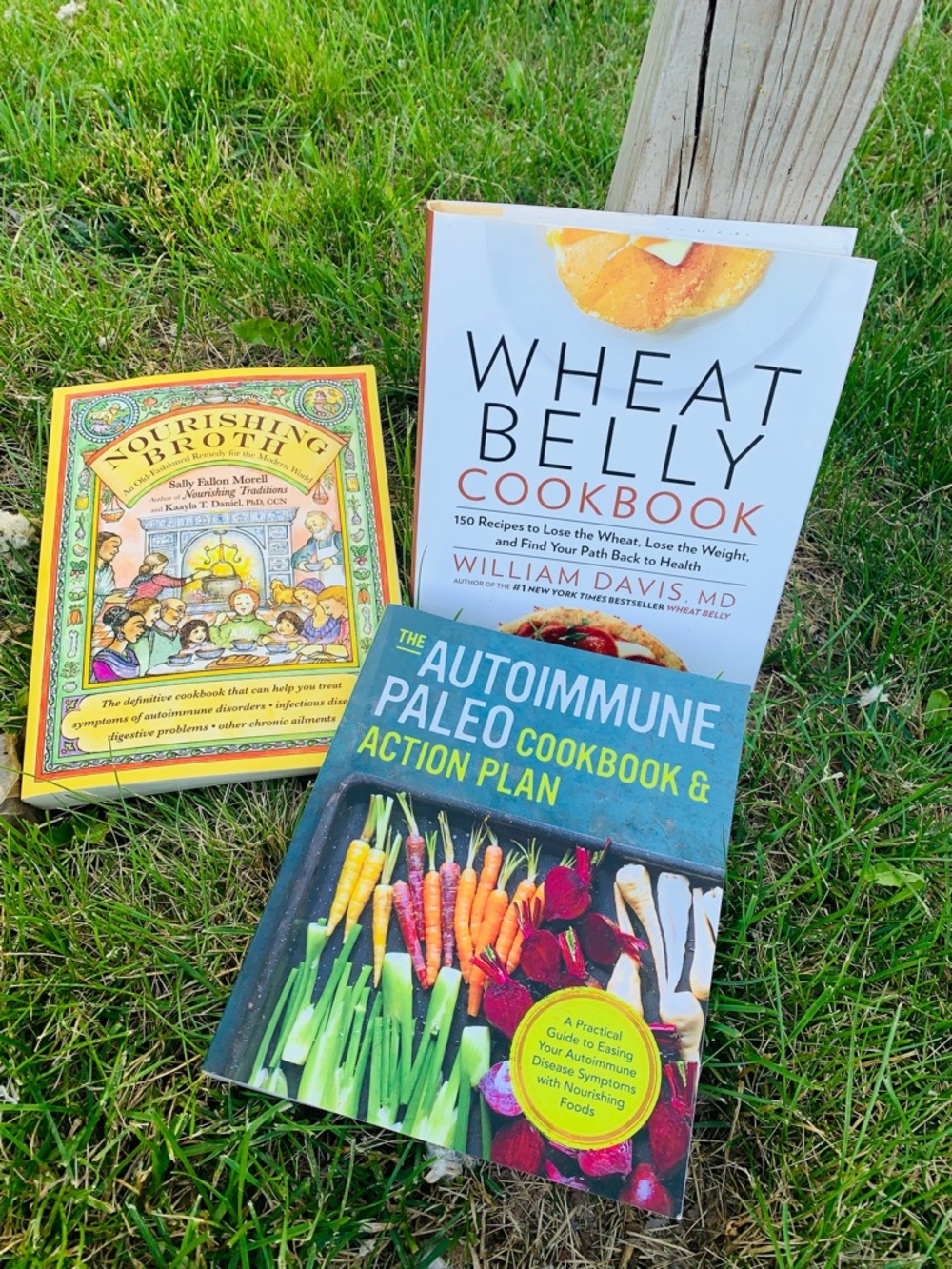 5 LBS of healthy eating books